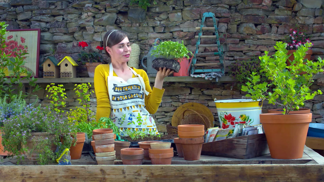 Česká televize chystá benefiční speciál Herbáře. Neváhejte se přihlásit!